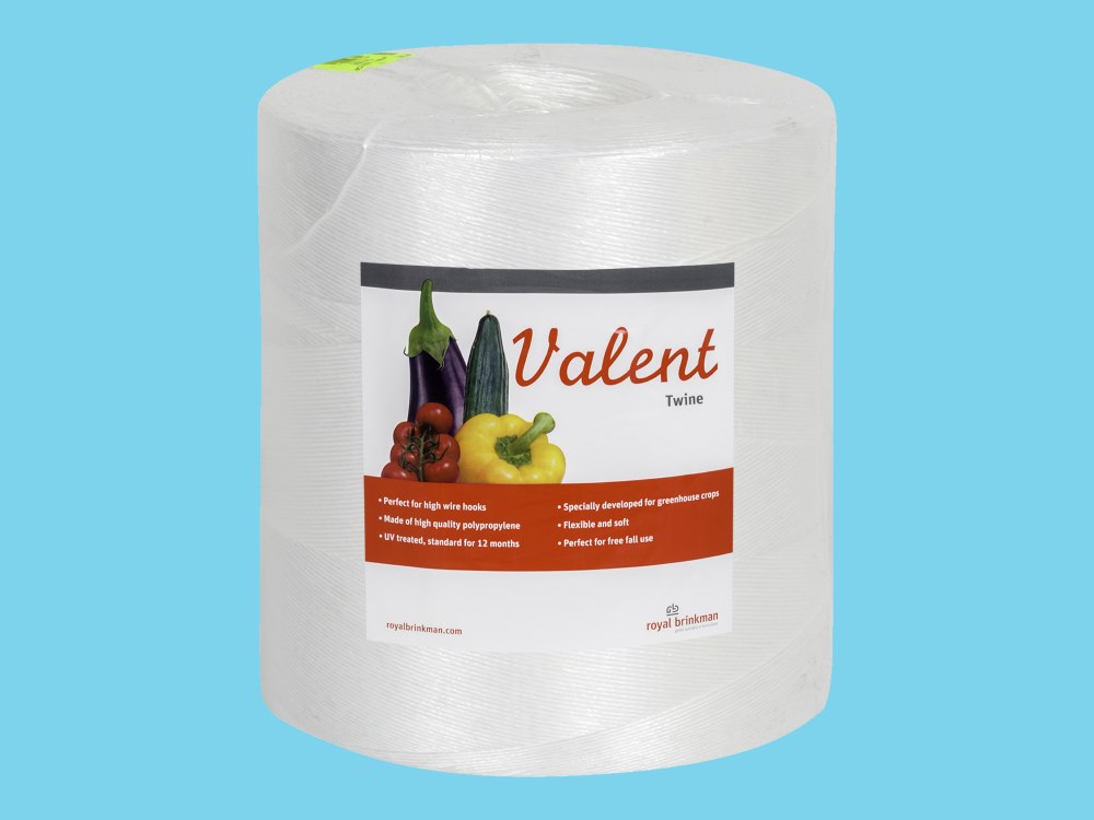 Ficelle Valent 1/1500 - blanche 6 kg